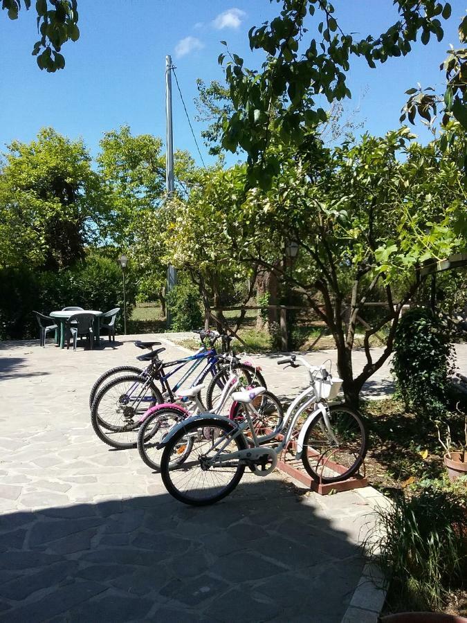 Country House L'Ippocastano Altavilla Silentina Luaran gambar